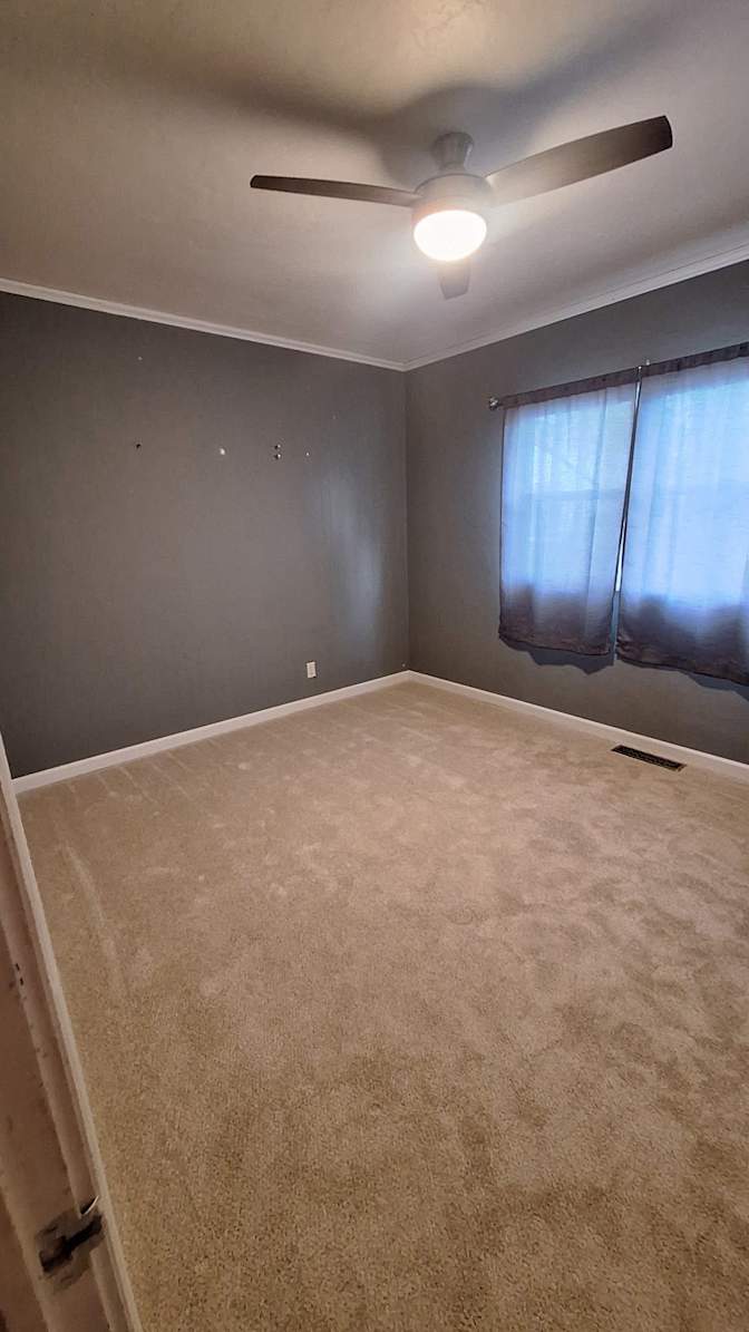 Shawn's room