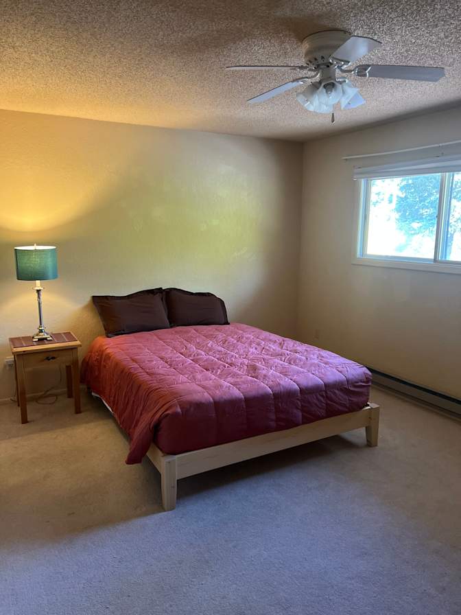 Shane's room