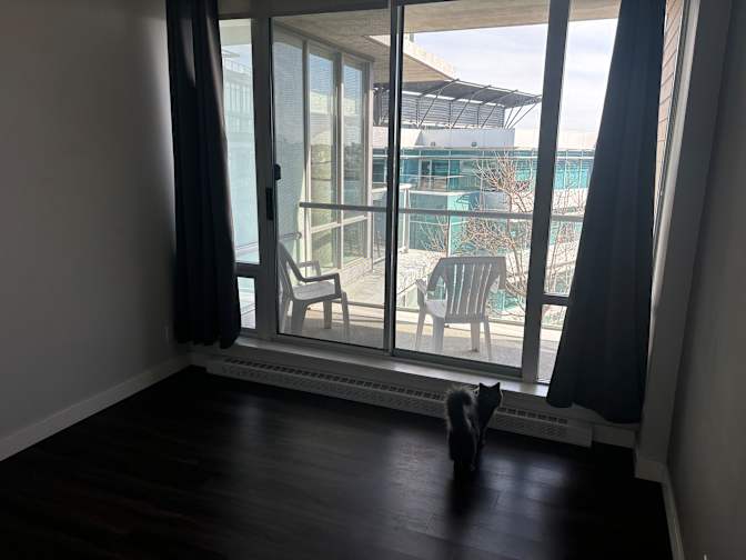 Paul's room