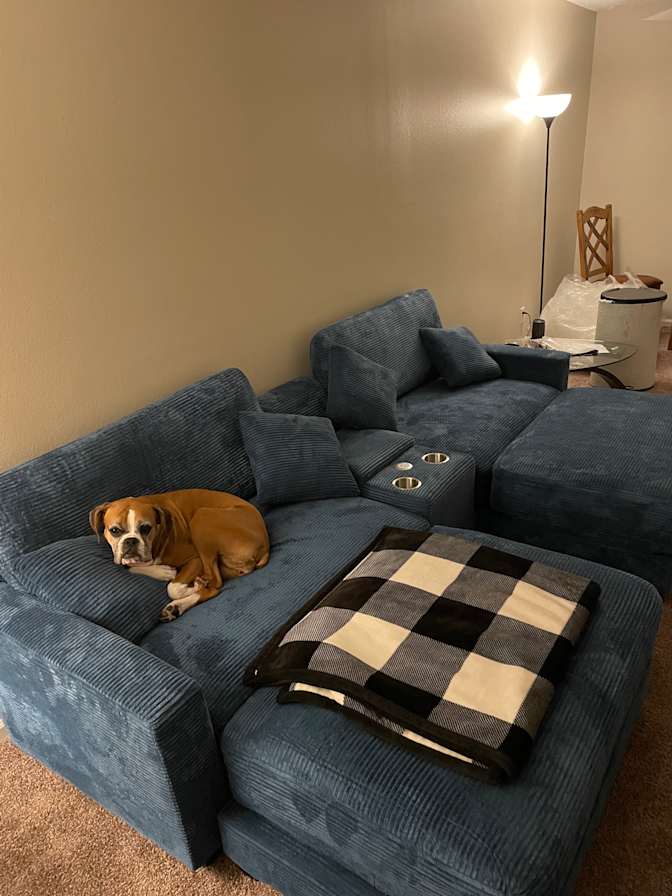 Sammie's room