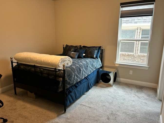 Noshad's room
