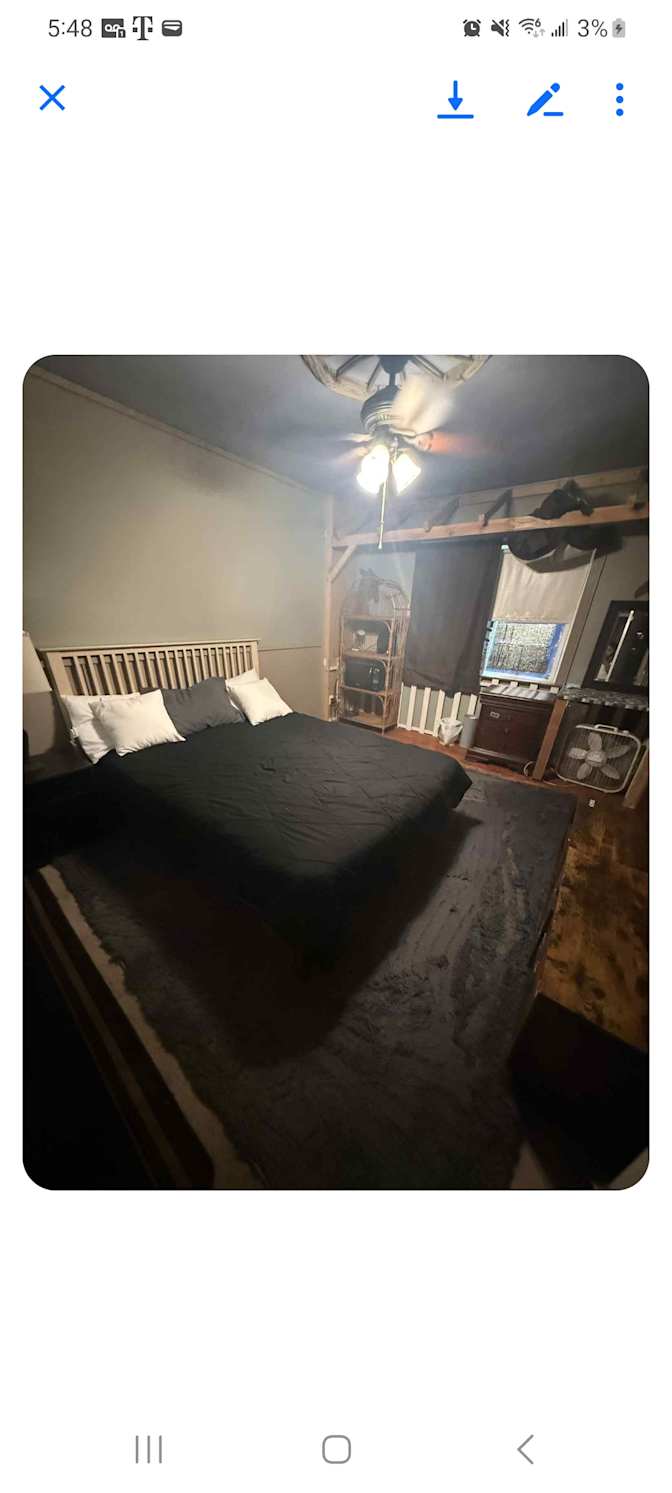 Bear's room