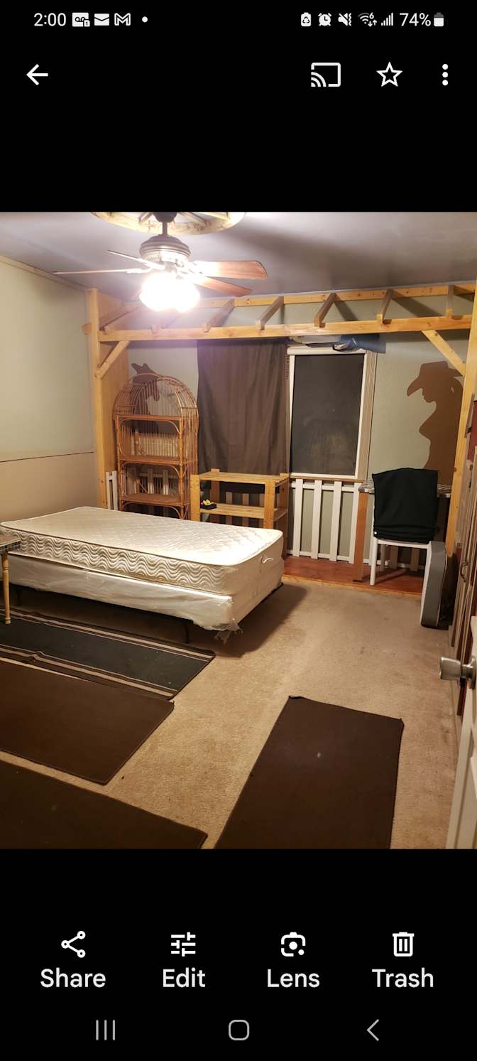 Bear's room