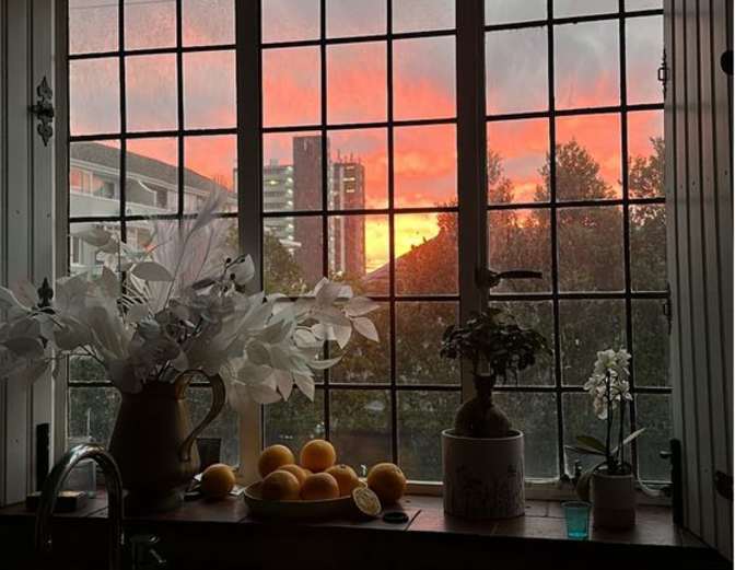 Taylor Ellie-May Ackermann's room