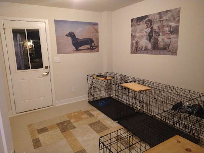 Nicolas's room