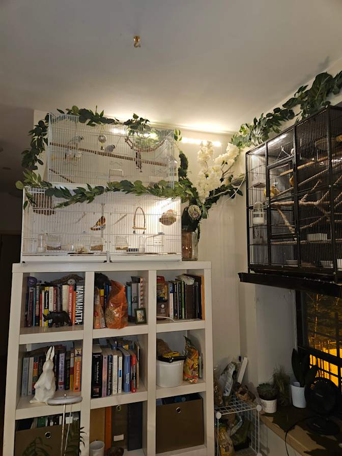 kim's room