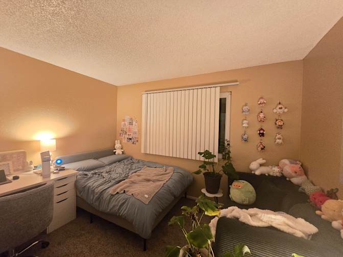 Evely's room