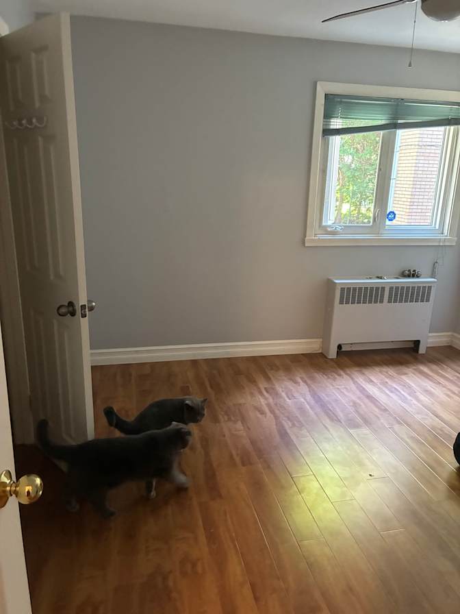 Moe's room