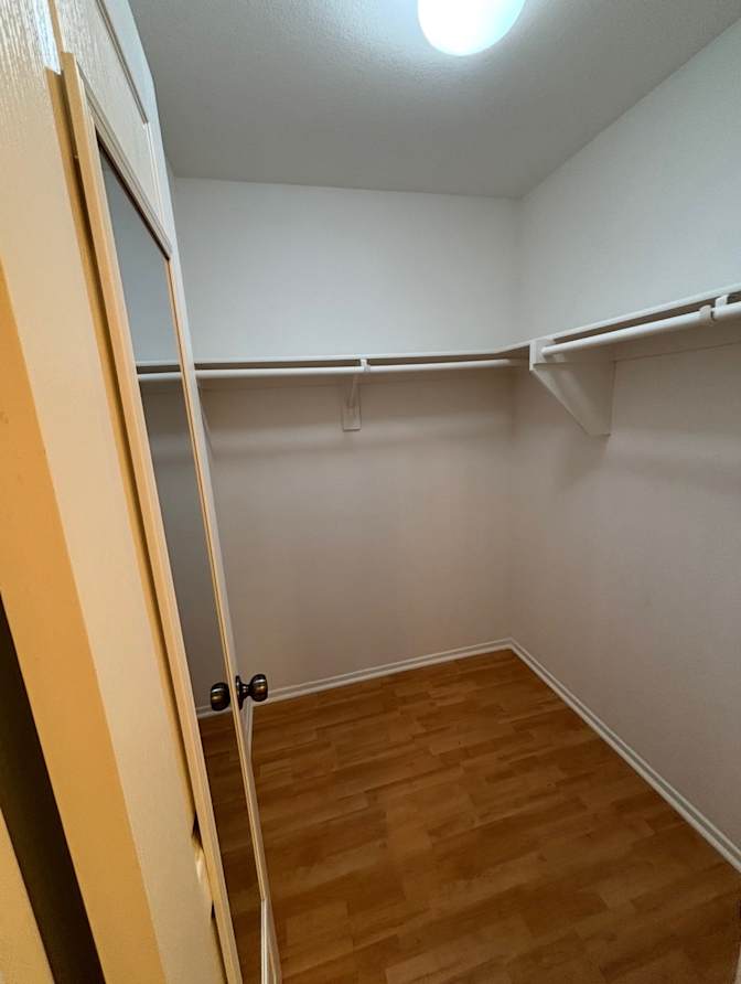 Andrea's room
