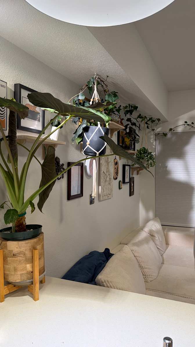 Nick L's room
