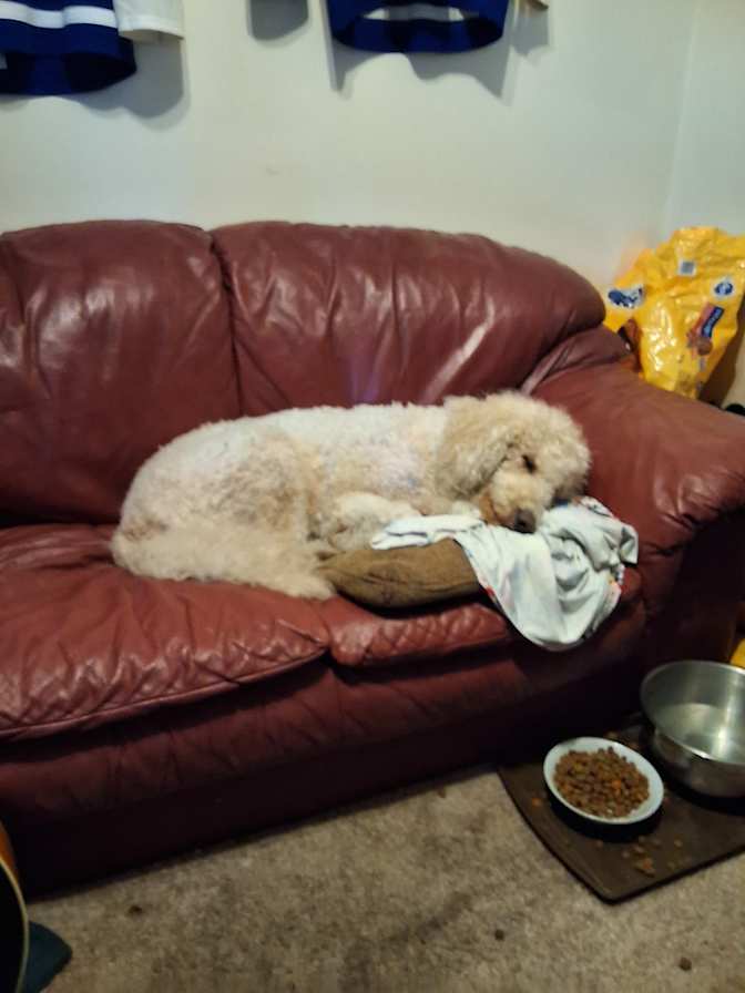 Giovanna Winter's room