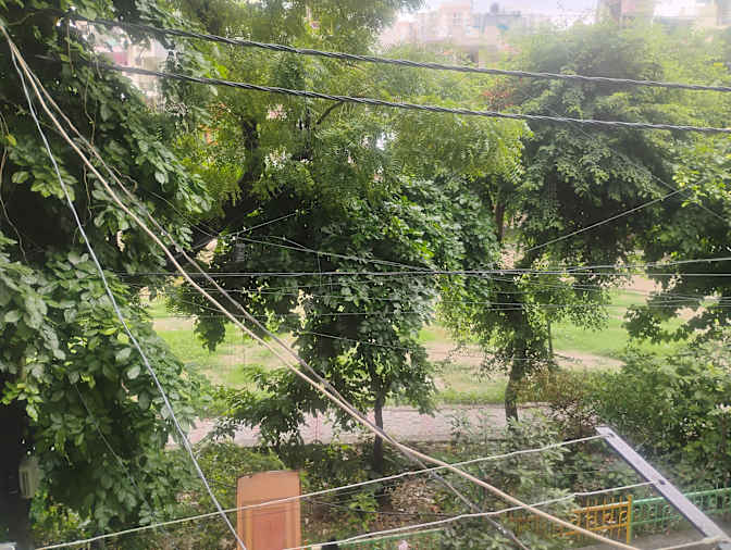 Rohit Shandilya's room
