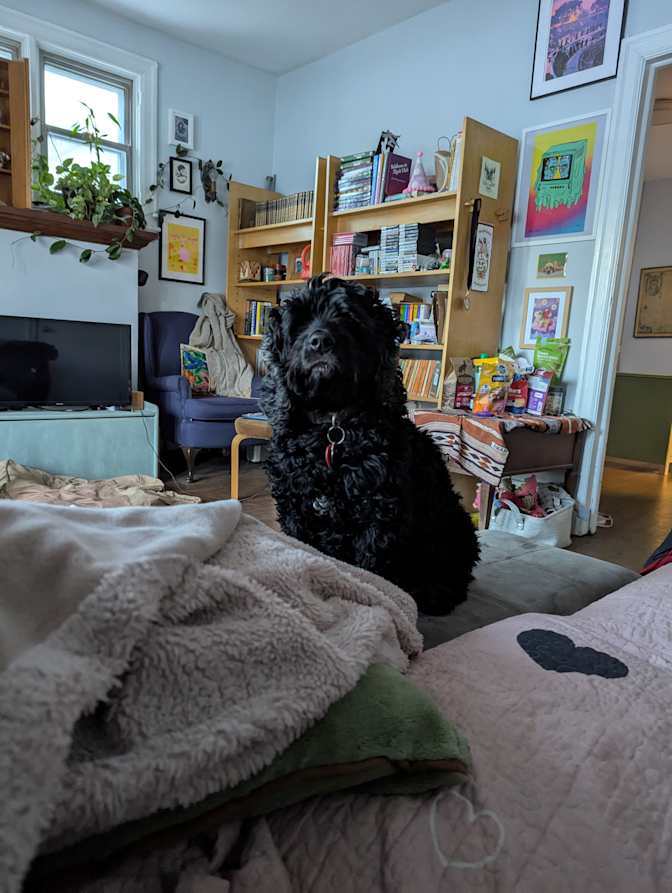 Mackenzie Lavender's room