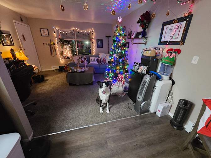Jessica Monroe's room
