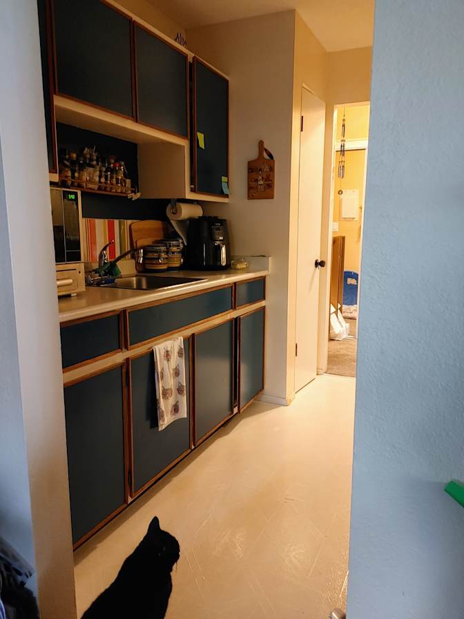 Alison's room
