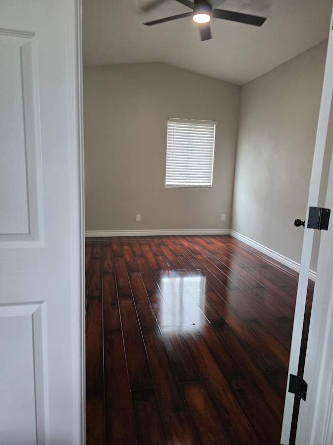 any mitchell torres cisneros's room