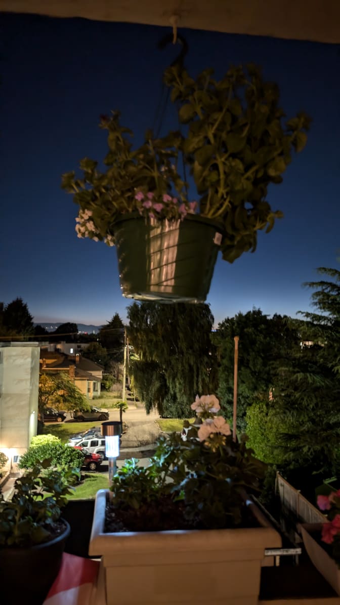 Shannon Henson's room