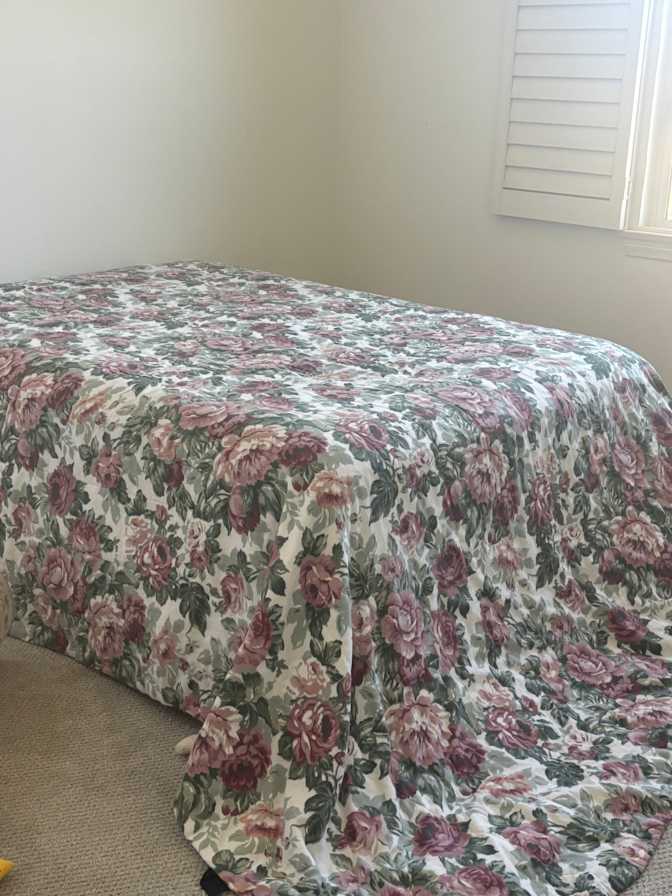 Rozita Moshtagh's room