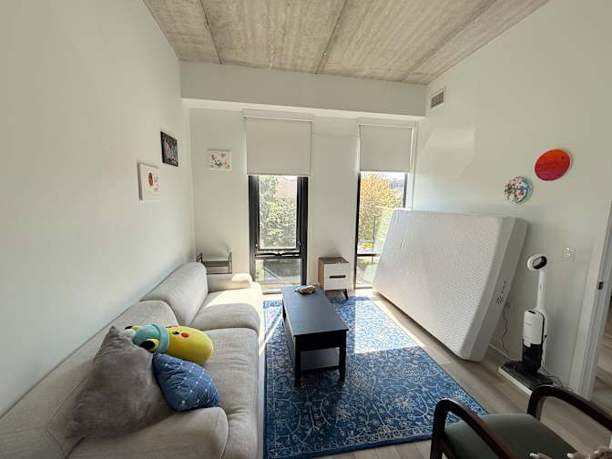 Elmir's room