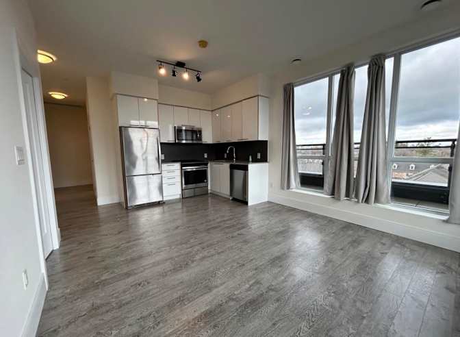 Khadeja Haque's room