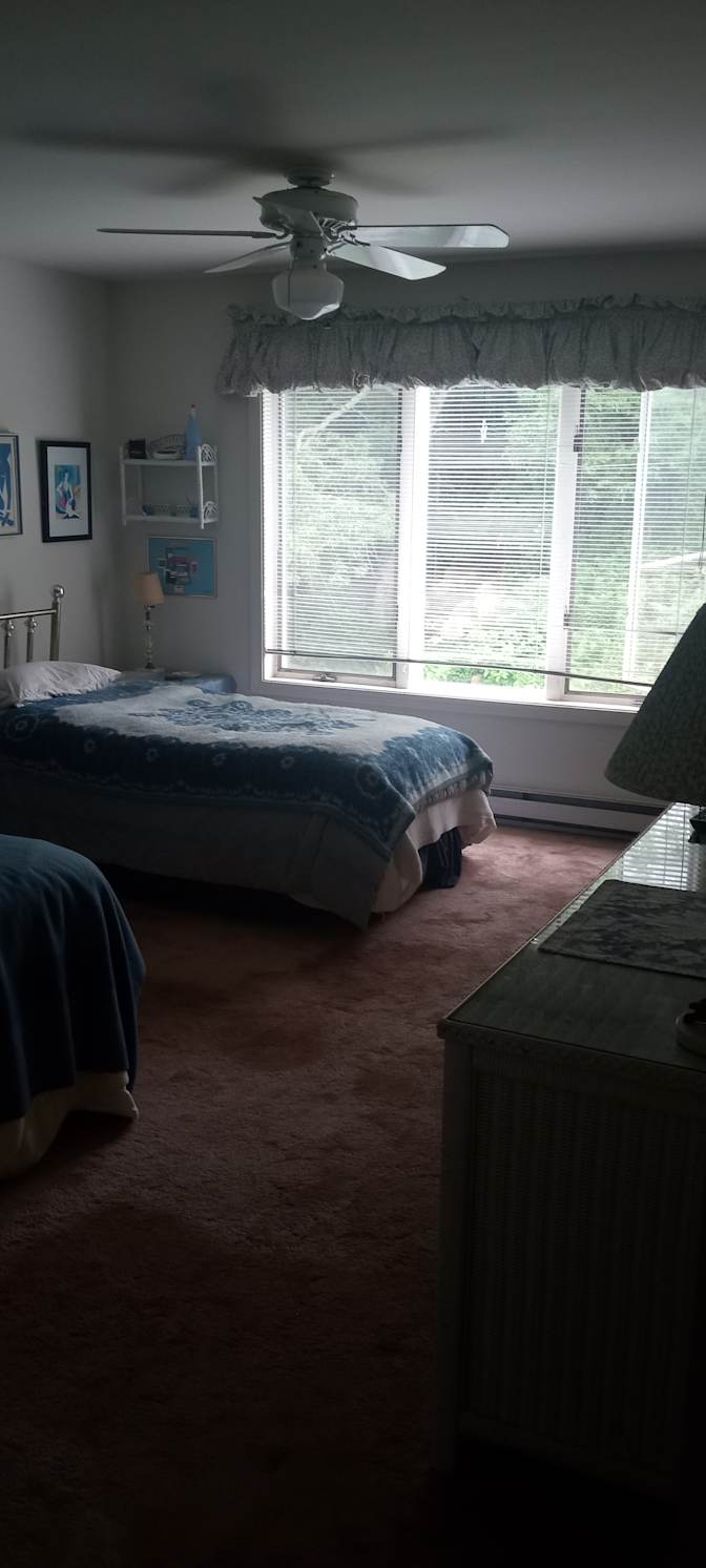 Elle's room