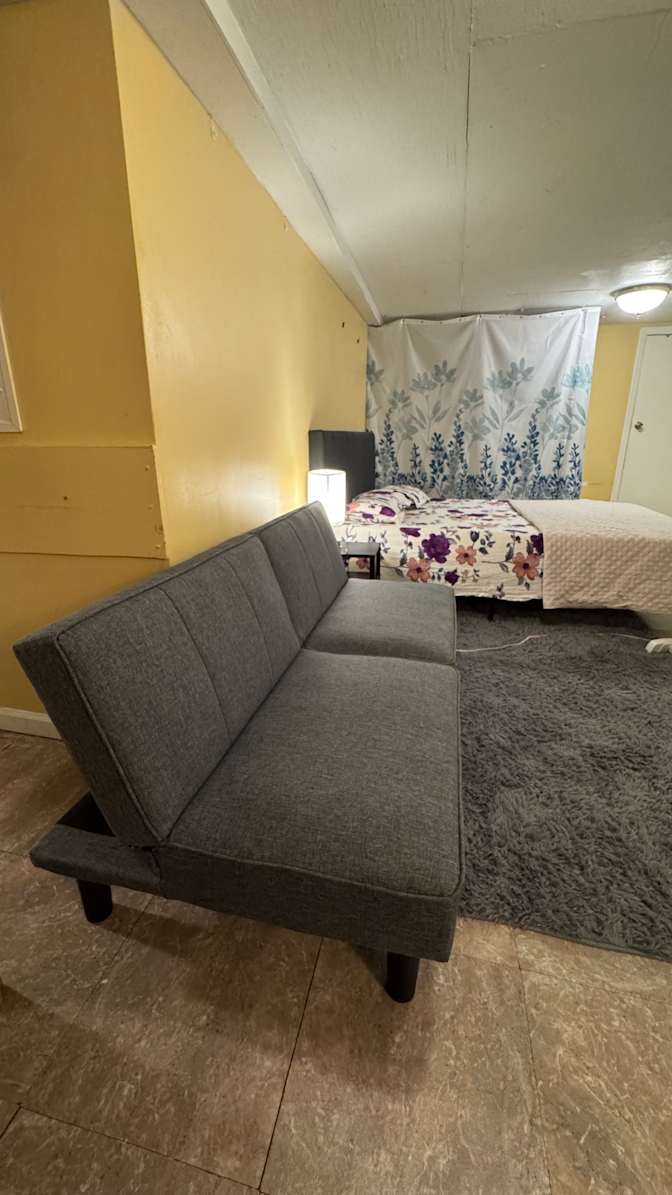 Shibli's room