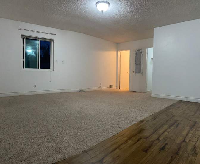 Jeb's room