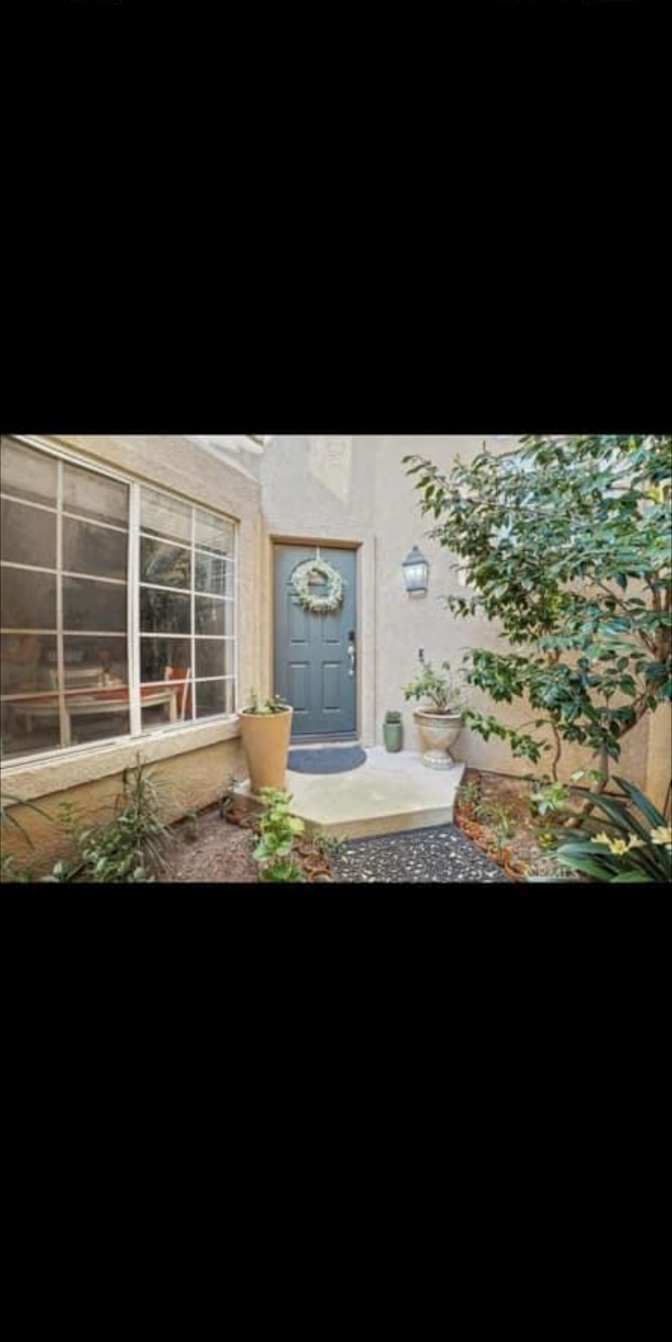 Shawn's room