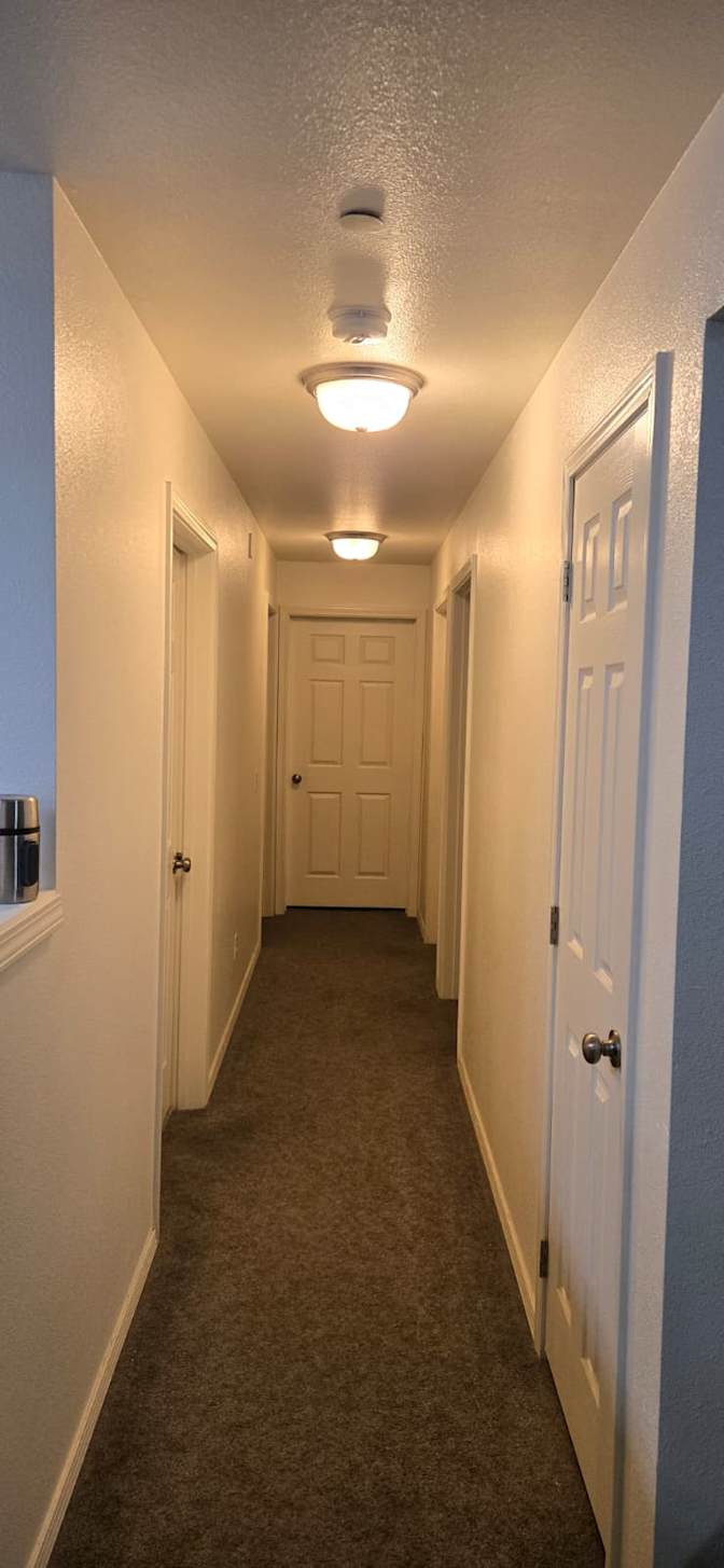 Bruno's room