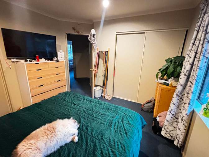 Devany Markovic's room