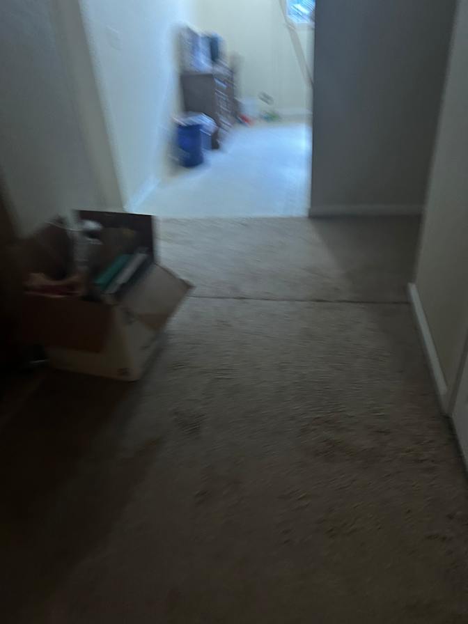 Aja Bos's room