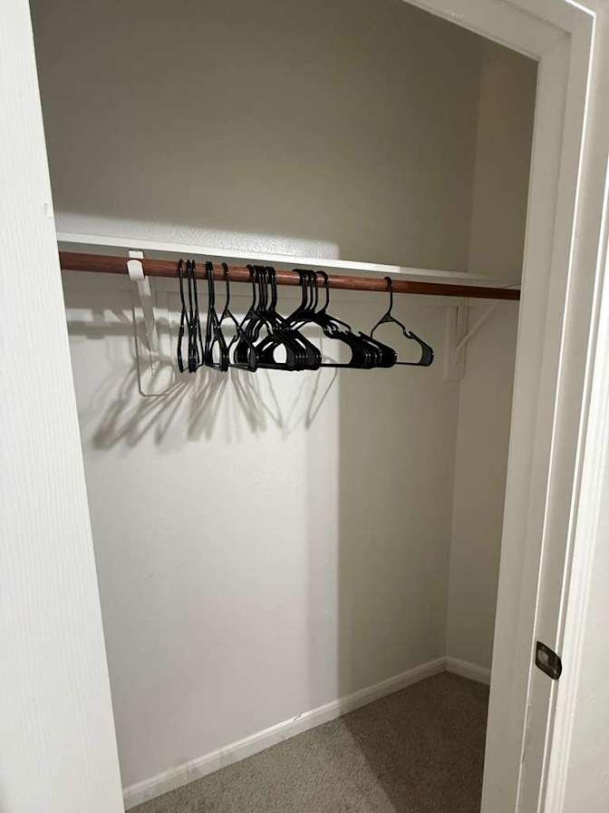 Anabella berenfus's room