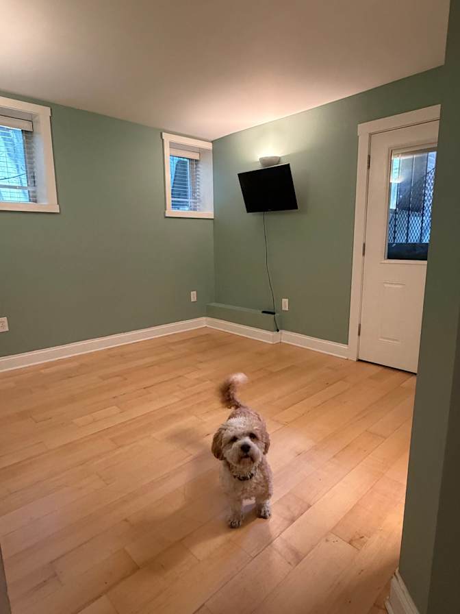 Leonardo da Silva's room