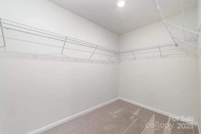 Alcove Rooms's room