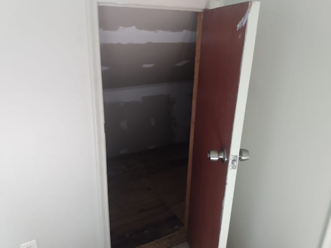 Wolf's room