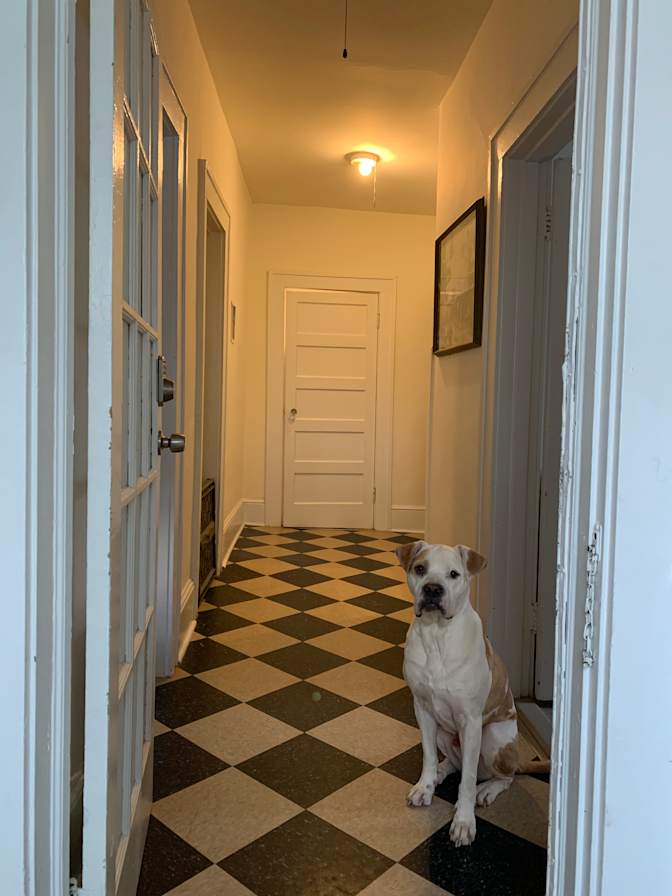 Wilson's room
