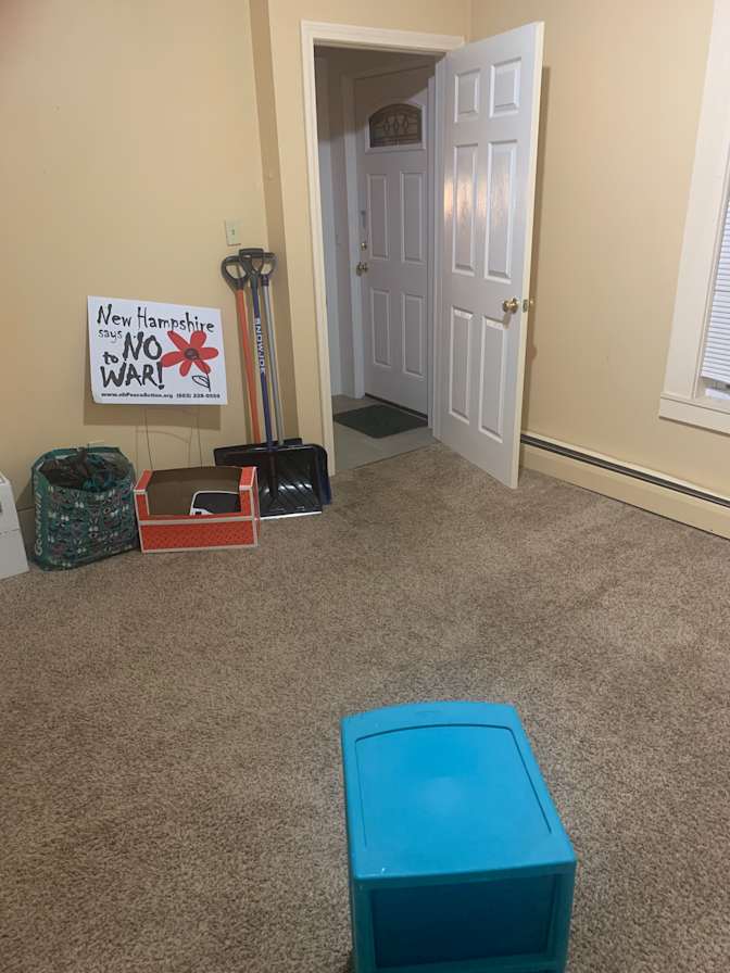 Cat's room