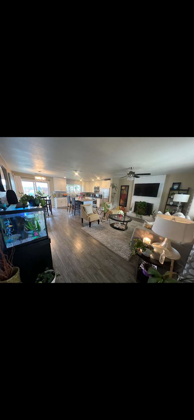 Mike O's room