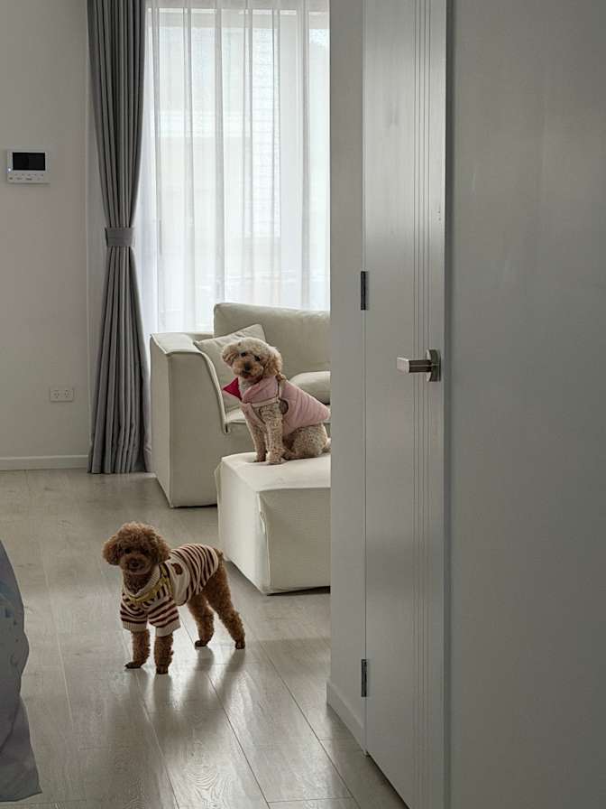 Naomi's room