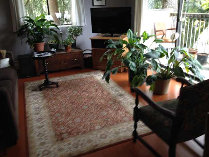 Sylvene's room