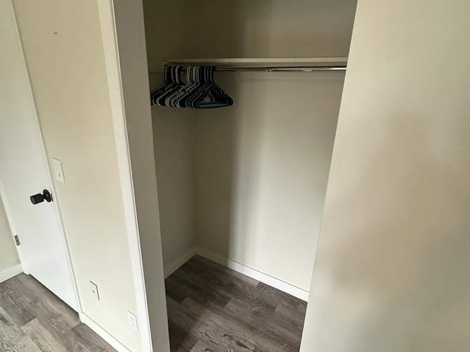 Elise G Mihanovich's room