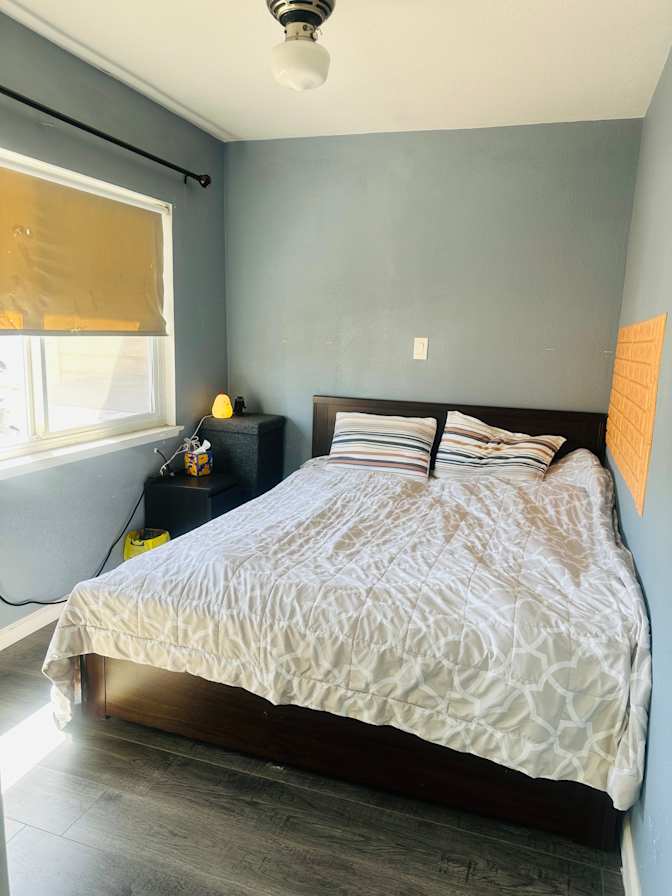 Mary's room