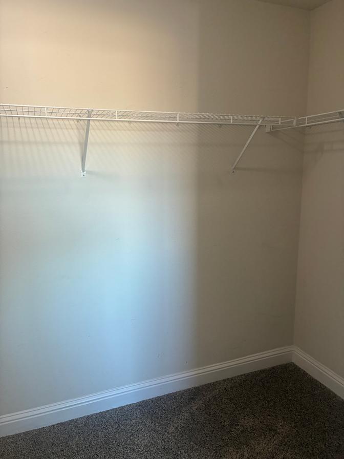 Renee's room