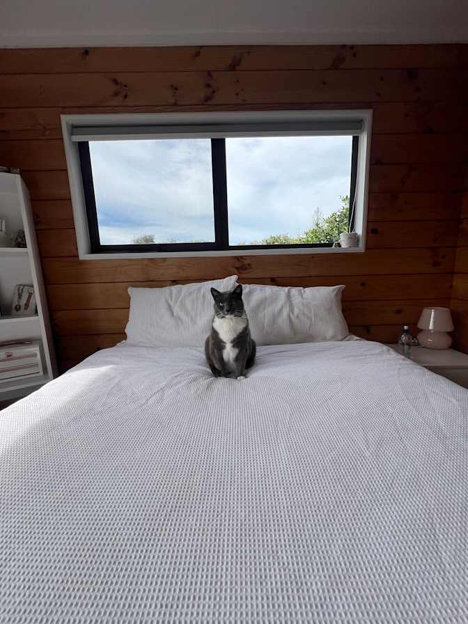 Aj's room