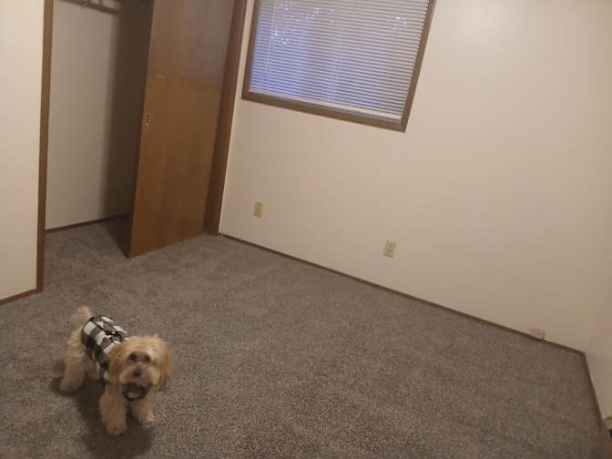 Lois's room
