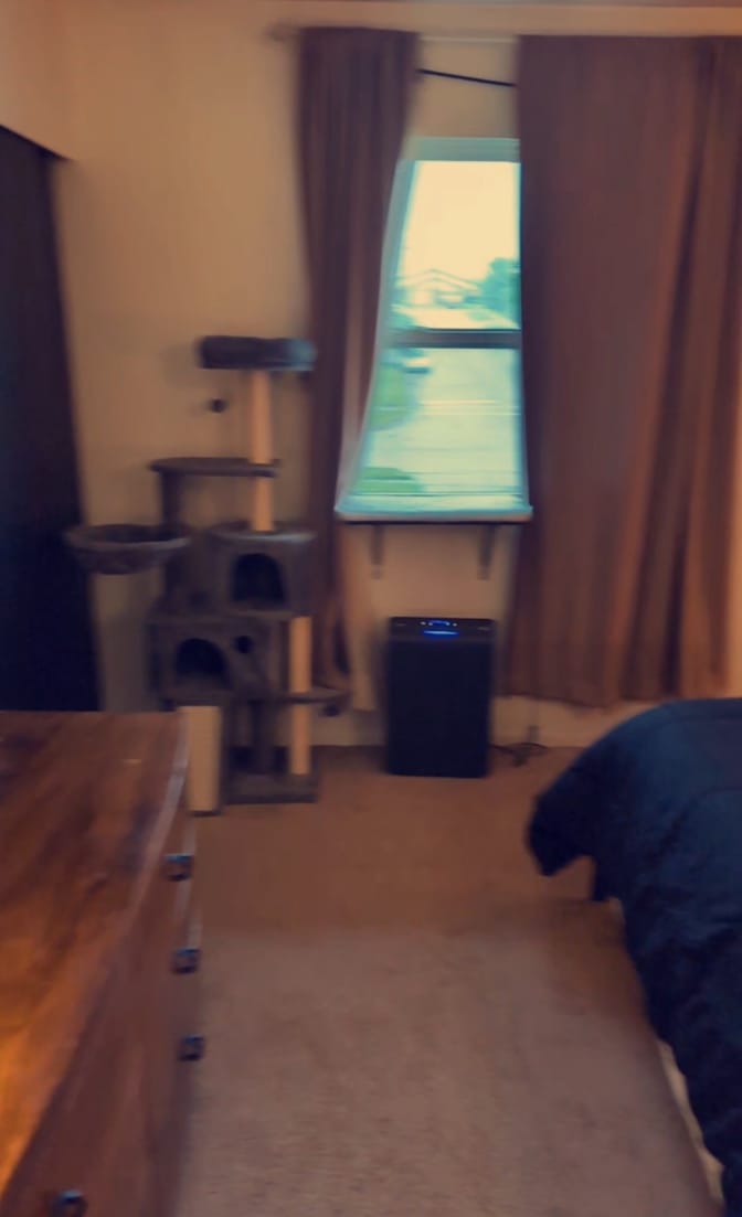 Zach's room