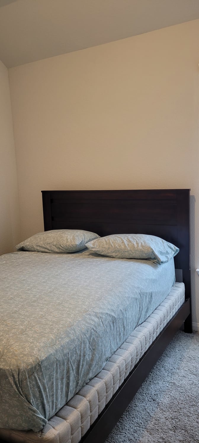 Demis's room
