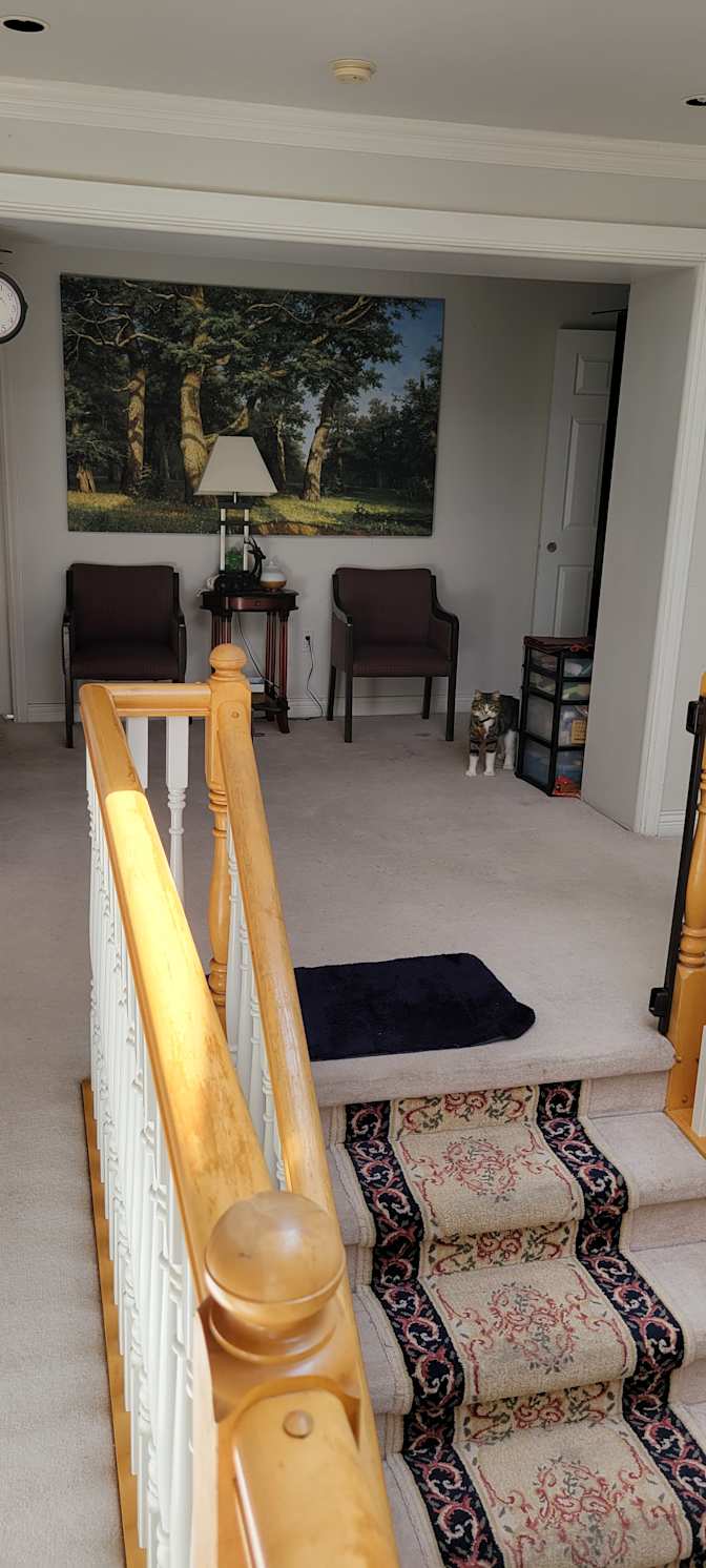 Amy's room