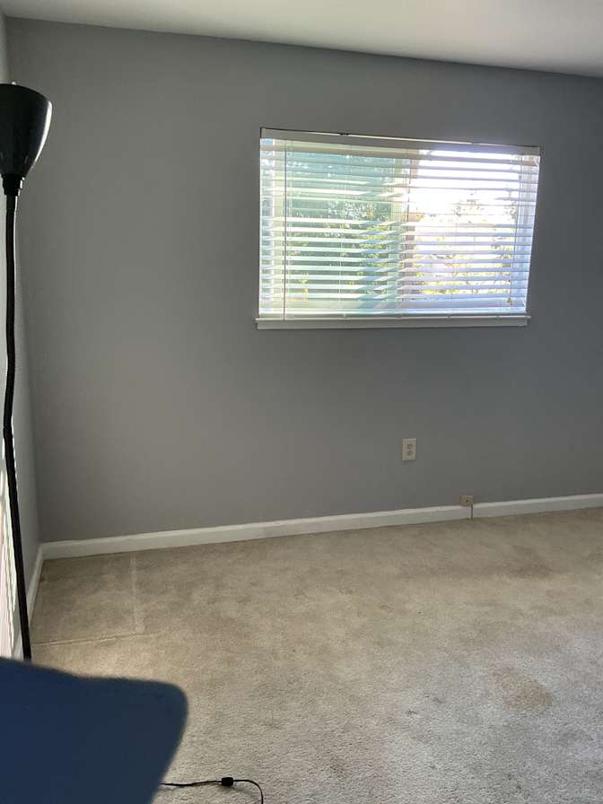 Lulu miller's room