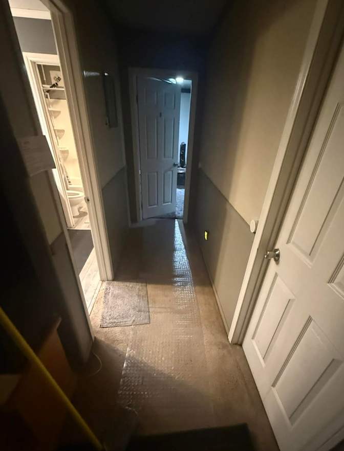 Bear's room